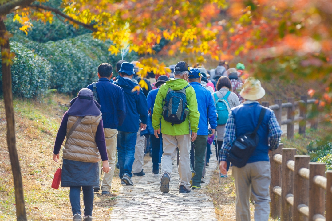 各種ツアー旅行